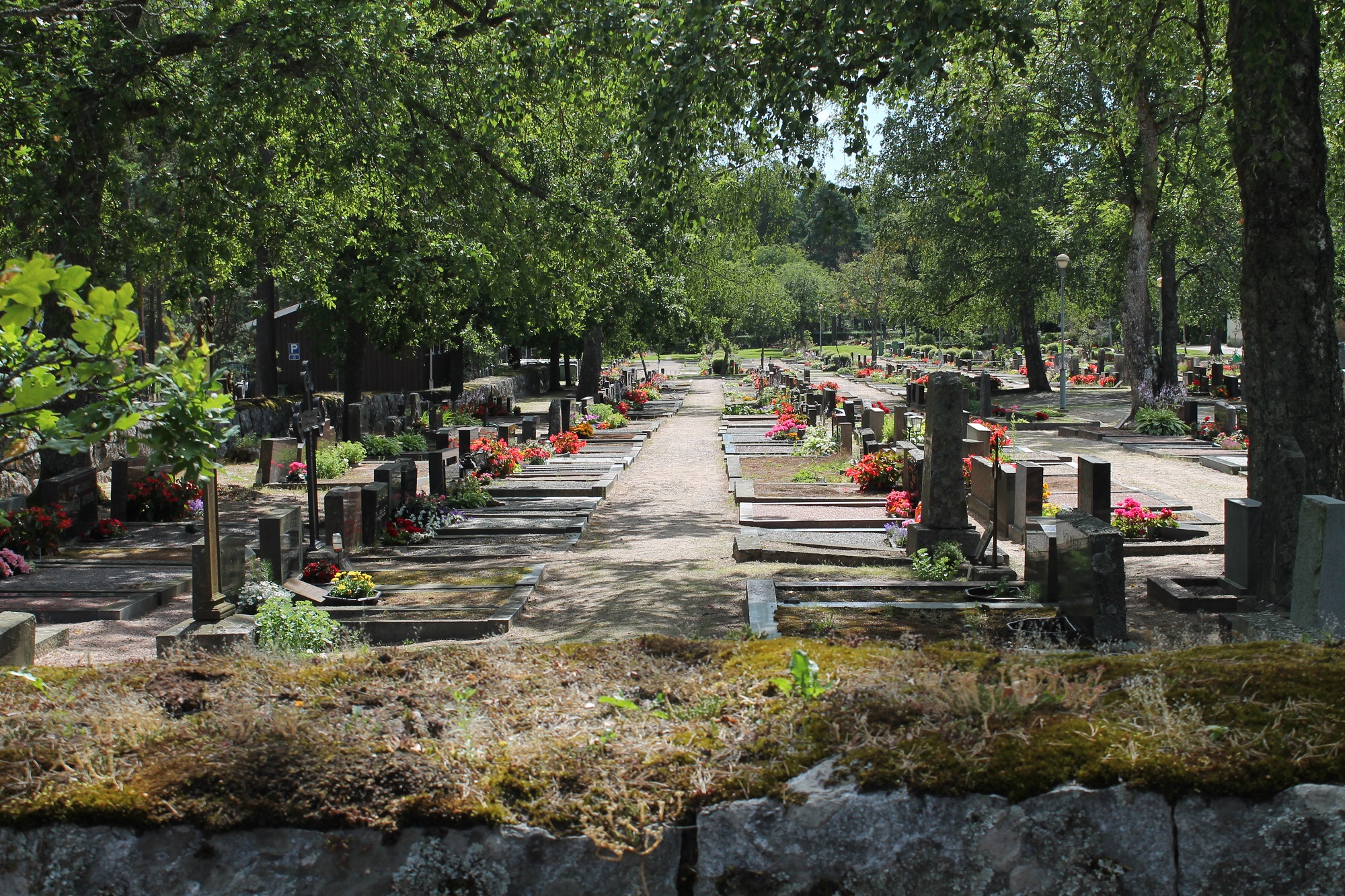 Näkymä Tammisaaren uudelle hautausmaalle, paljon hautoja ja värikkäitä kukkia.